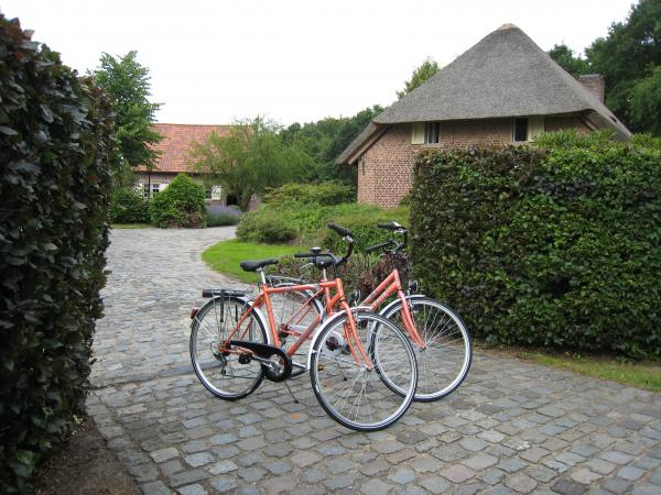 Fietsen op de oprit