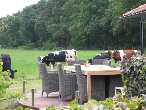 Terras met tuinmeubelen en zicht op het weiland met koeien