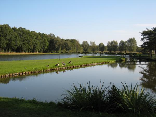 Vijver in de omgeving