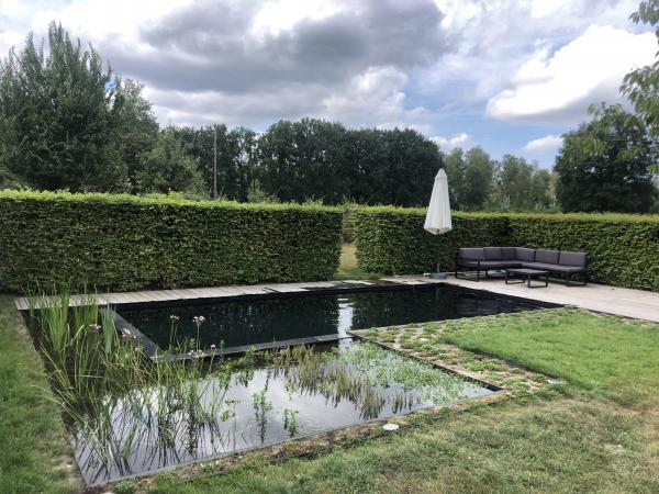 Zwemvijver omringd door hagen